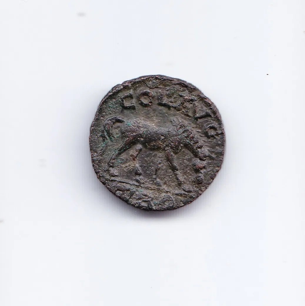 Roma Moneda Ae20 Alejandria De Troade Galieno 253 A153 - Imagen 2