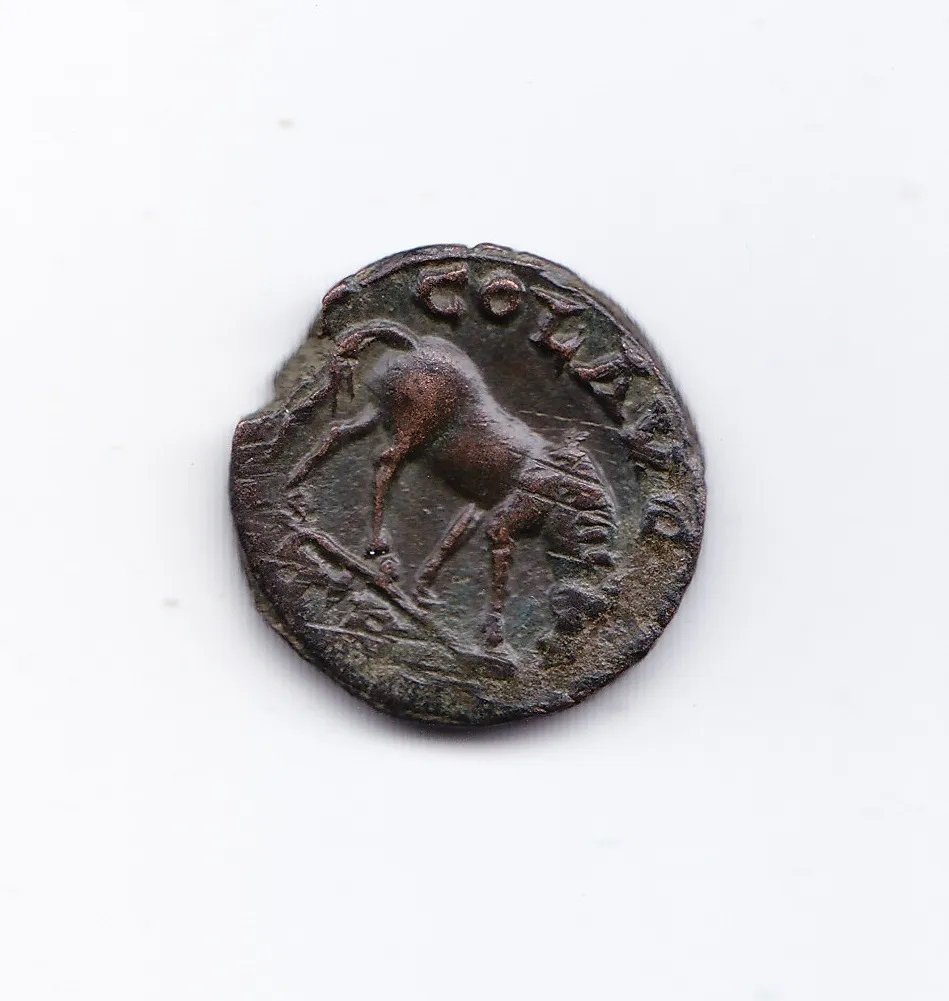 Roma Moneda Ae21 Alejandria De Troade Pseudoautonoma A198 - Imagen 2