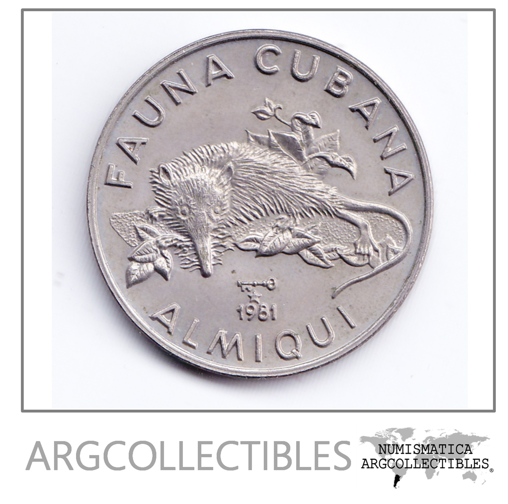 Cuba Moneda 1 Peso Niquel 1981 Fauna Cubana Almiqui Km-64 Unc