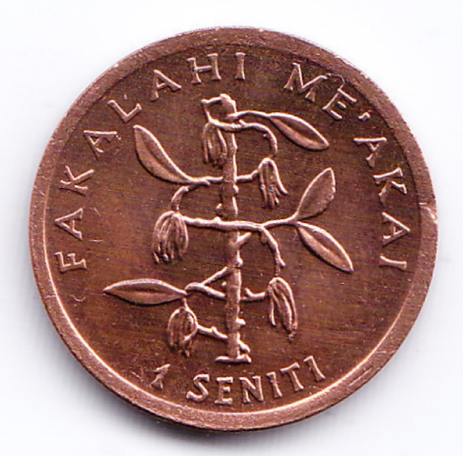 Tonga Moneda 1 Seniti Bronce Año 1996 Fao Km-66 Fao Unc - Imagen 2