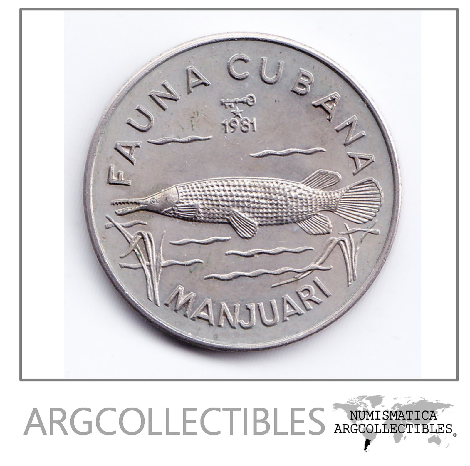 Cuba Moneda 1 Peso Niquel 1981 Fauna Cubana Manjuari Unc