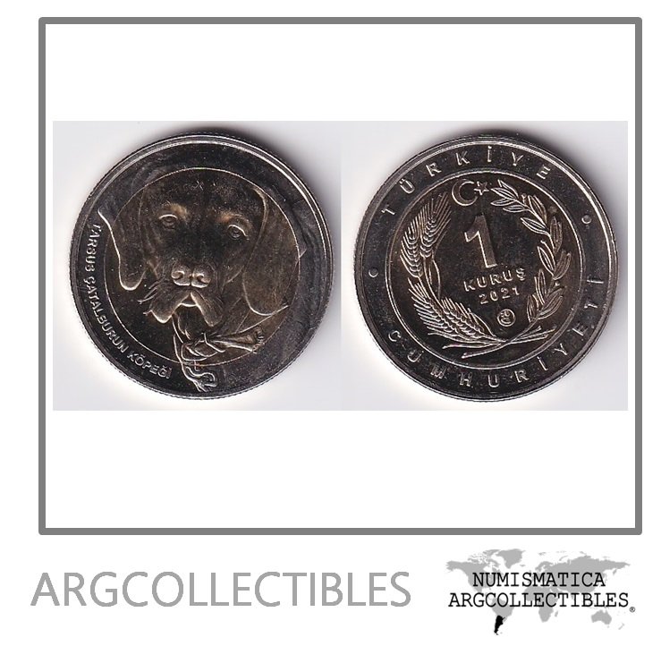Turquia Moneda 1 Kurus 2021 Perro Bimetalica UNC