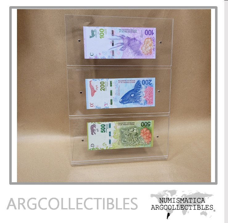 Exhibidor Para 3 Billetes de Pie con Imanes Compartimientos Separados