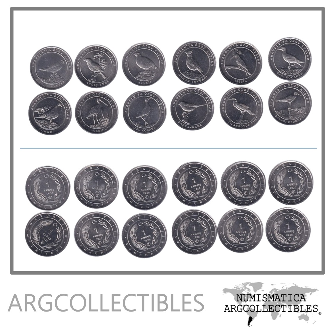 Turquia Set x 12 Monedas 1 Kurus Aves 2020 Aluminio UNC