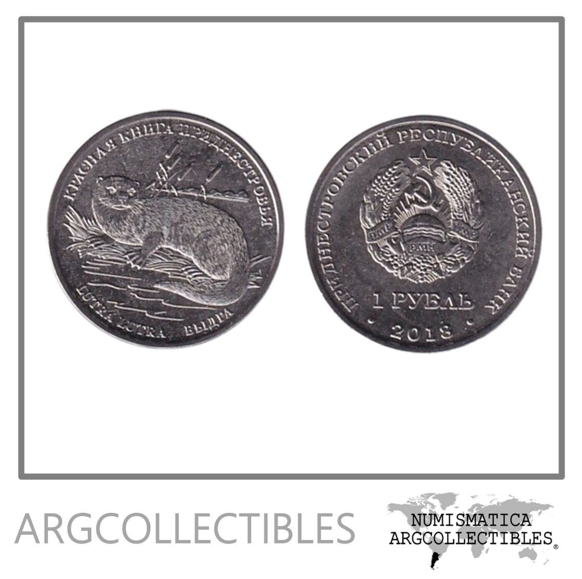 Transnistria Moneda 1 Rublo 2018 Nutria Euro Asiatica Acero UNC