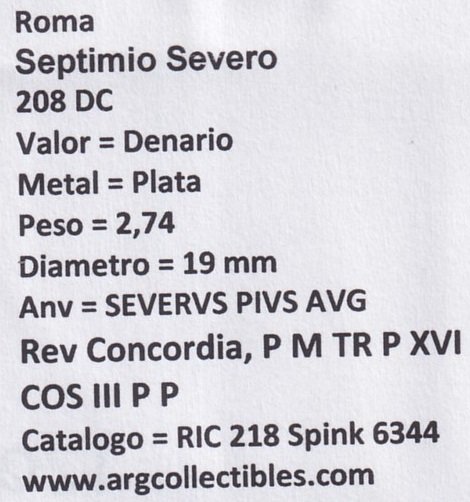 Roma Moneda Denario 208 DC Septimio Severo RIC-218 Spink 6344 - Imagen 2