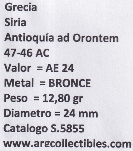 Grecia Siria Moneda AE24 47 A.C Antioquia ad Orontem S.5855 - Imagen 2