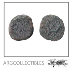 Reino de Judea Moneda AE Prutah 135 a.C. Juan Hircano I Sear-6095 (Juan Hircano II)