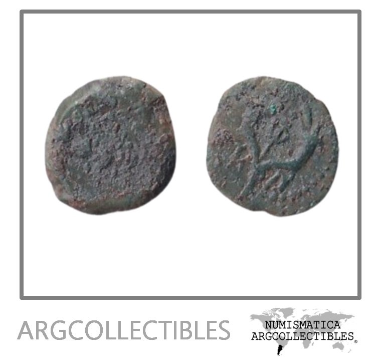 Reino de Judea Moneda AE Prutah 135 a.C. Juan Hircano I Sear-6095 (Juan Hircano II)
