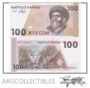 Kirguistan Billete 100 Som 1994 P-12 UNC